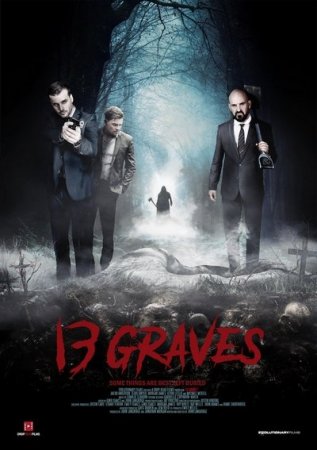 13  (2019) 