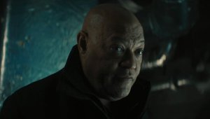  (2025)